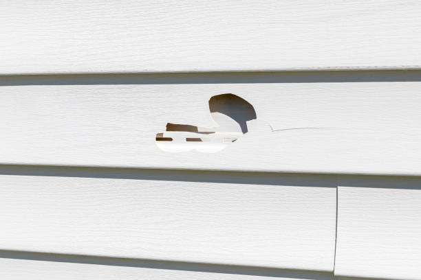 Affordable Siding Repair and Maintenance Services in South Park, WY